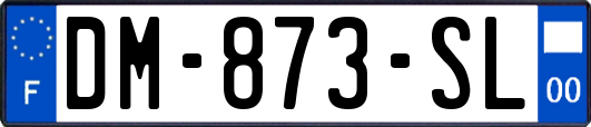 DM-873-SL