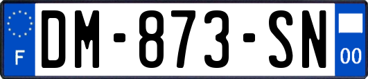 DM-873-SN