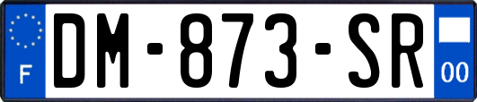 DM-873-SR
