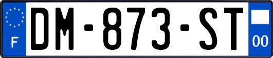DM-873-ST
