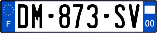 DM-873-SV