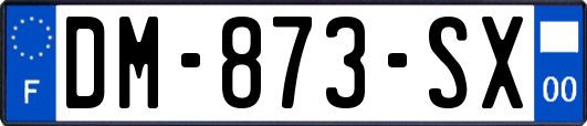 DM-873-SX