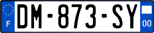 DM-873-SY