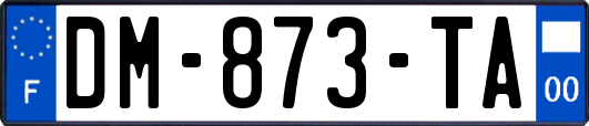 DM-873-TA