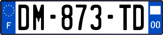DM-873-TD