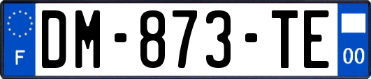 DM-873-TE