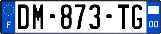 DM-873-TG