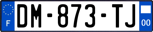 DM-873-TJ