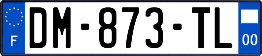 DM-873-TL