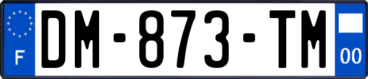 DM-873-TM