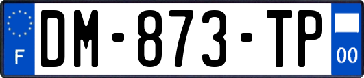 DM-873-TP