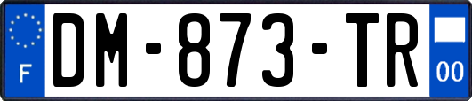 DM-873-TR