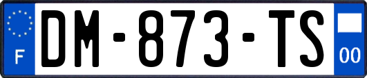 DM-873-TS