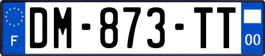 DM-873-TT