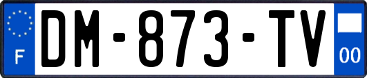 DM-873-TV
