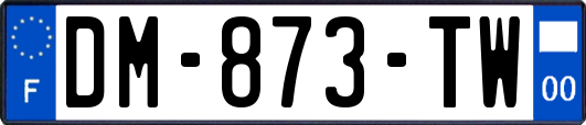 DM-873-TW