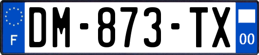 DM-873-TX