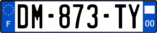 DM-873-TY
