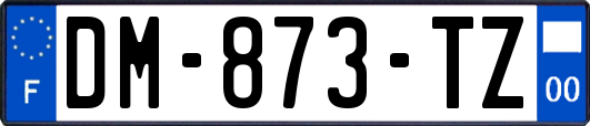 DM-873-TZ