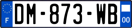 DM-873-WB