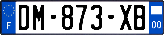 DM-873-XB