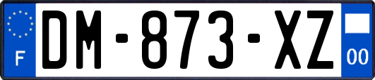 DM-873-XZ