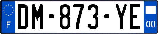 DM-873-YE