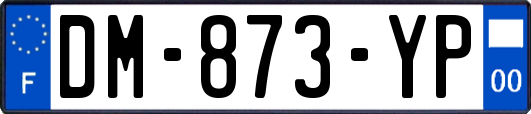 DM-873-YP