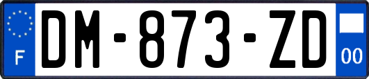 DM-873-ZD