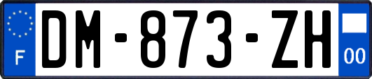 DM-873-ZH