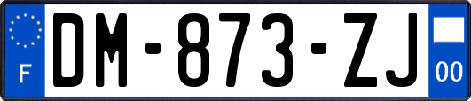 DM-873-ZJ