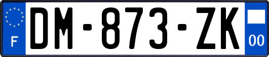 DM-873-ZK