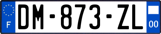 DM-873-ZL