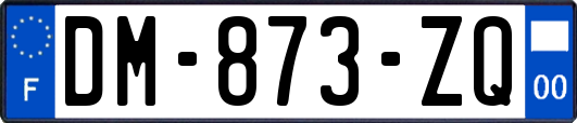 DM-873-ZQ