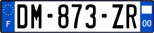 DM-873-ZR