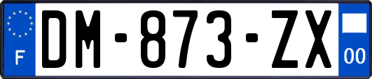 DM-873-ZX