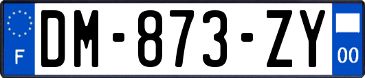 DM-873-ZY