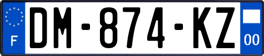 DM-874-KZ