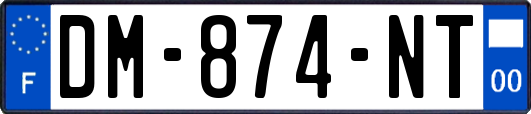 DM-874-NT