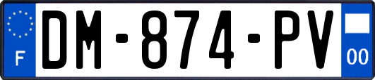 DM-874-PV