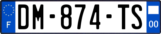 DM-874-TS