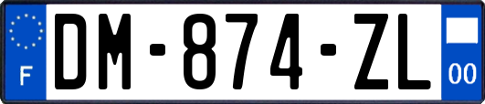 DM-874-ZL