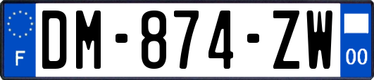 DM-874-ZW