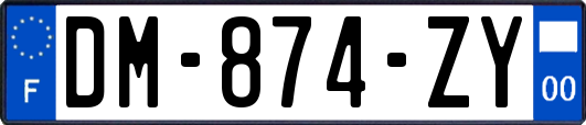 DM-874-ZY