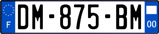 DM-875-BM