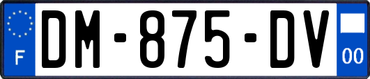 DM-875-DV