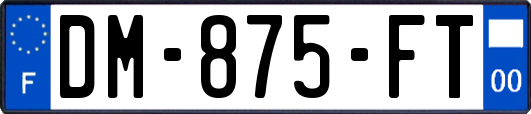 DM-875-FT