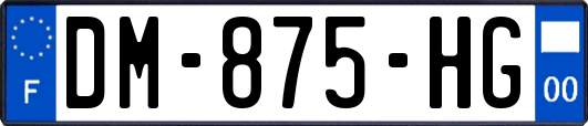 DM-875-HG