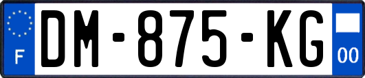 DM-875-KG