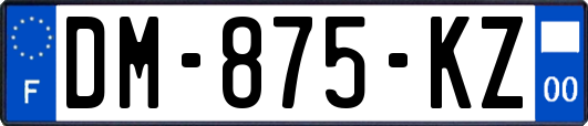 DM-875-KZ